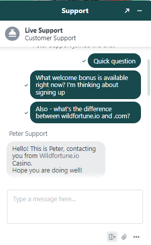 The Wildfortune.io Customer Support
